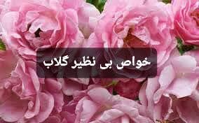 آیا با خواص بی نظیر گلاب آشنا هستید ؟