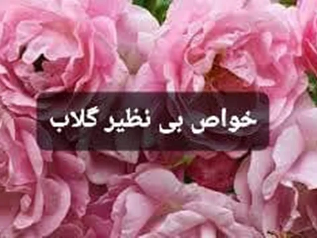 آیا با خواص بی نظیر گلاب آشنا هستید ؟