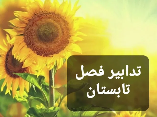 ☀️تدابیر فصل تابستان☀️
