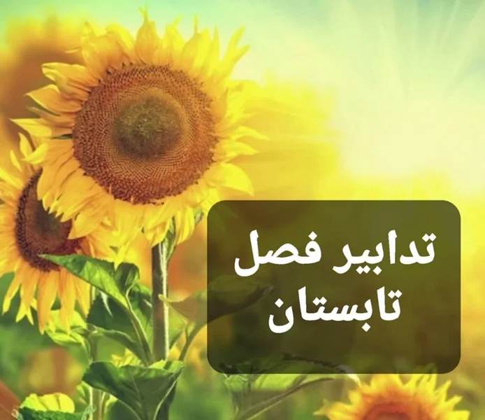 ☀️تدابیر فصل تابستان☀️